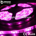 Jiangmen Fabricant SMD5050 Chips DC12V Floor Light LED Strip Lighting